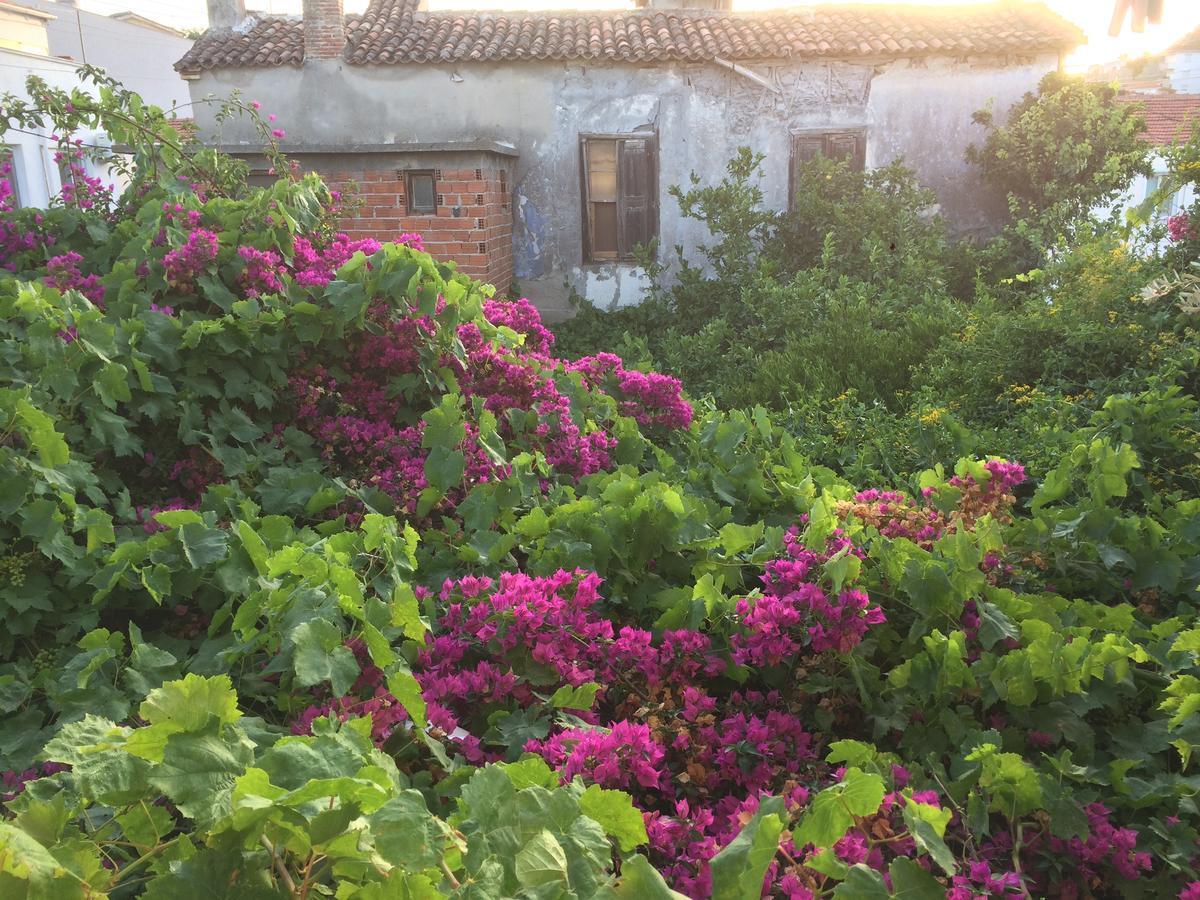 Parmis Rooms Çeşme 외부 사진